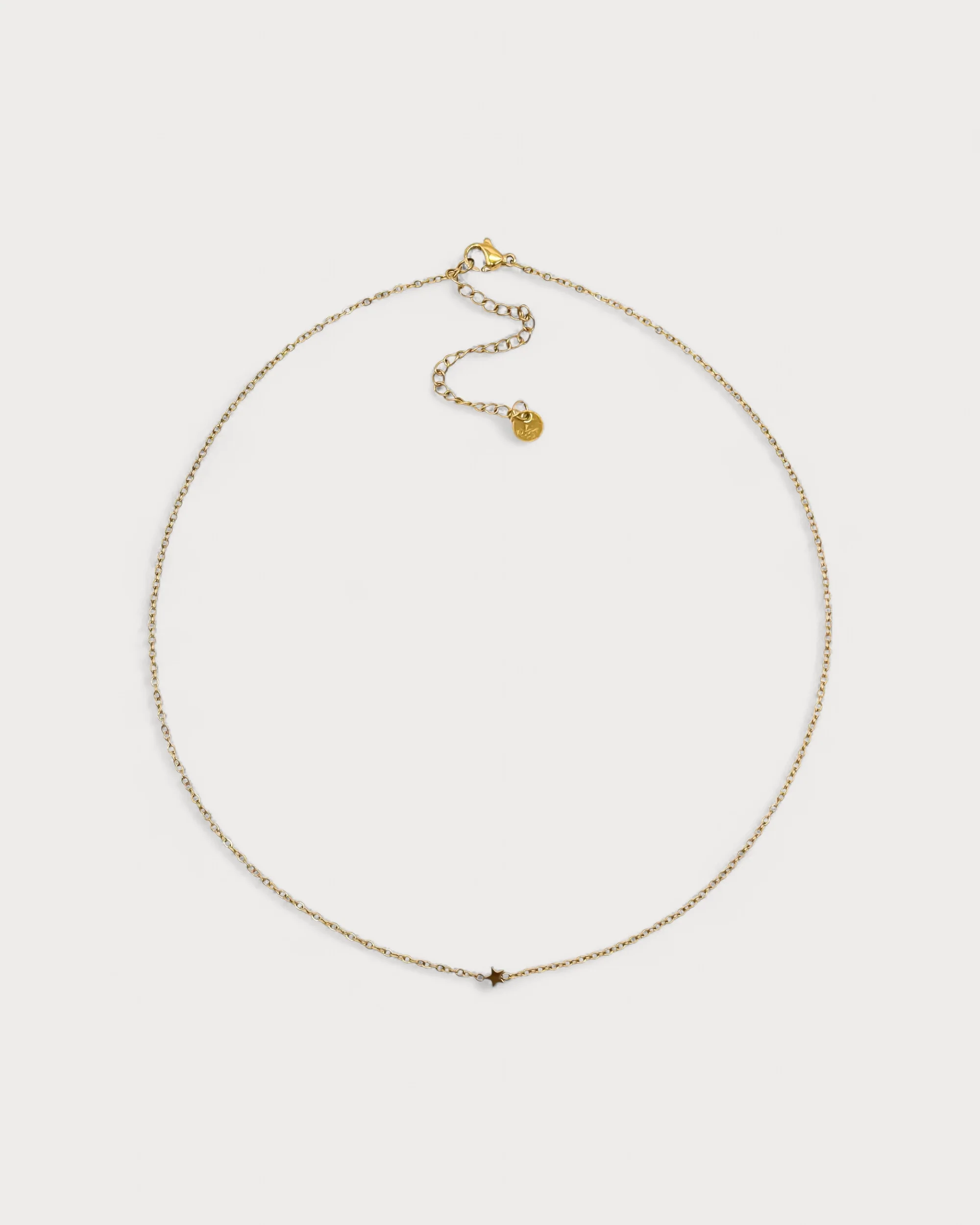 One Lucky Star - Necklace - Stainless Steel