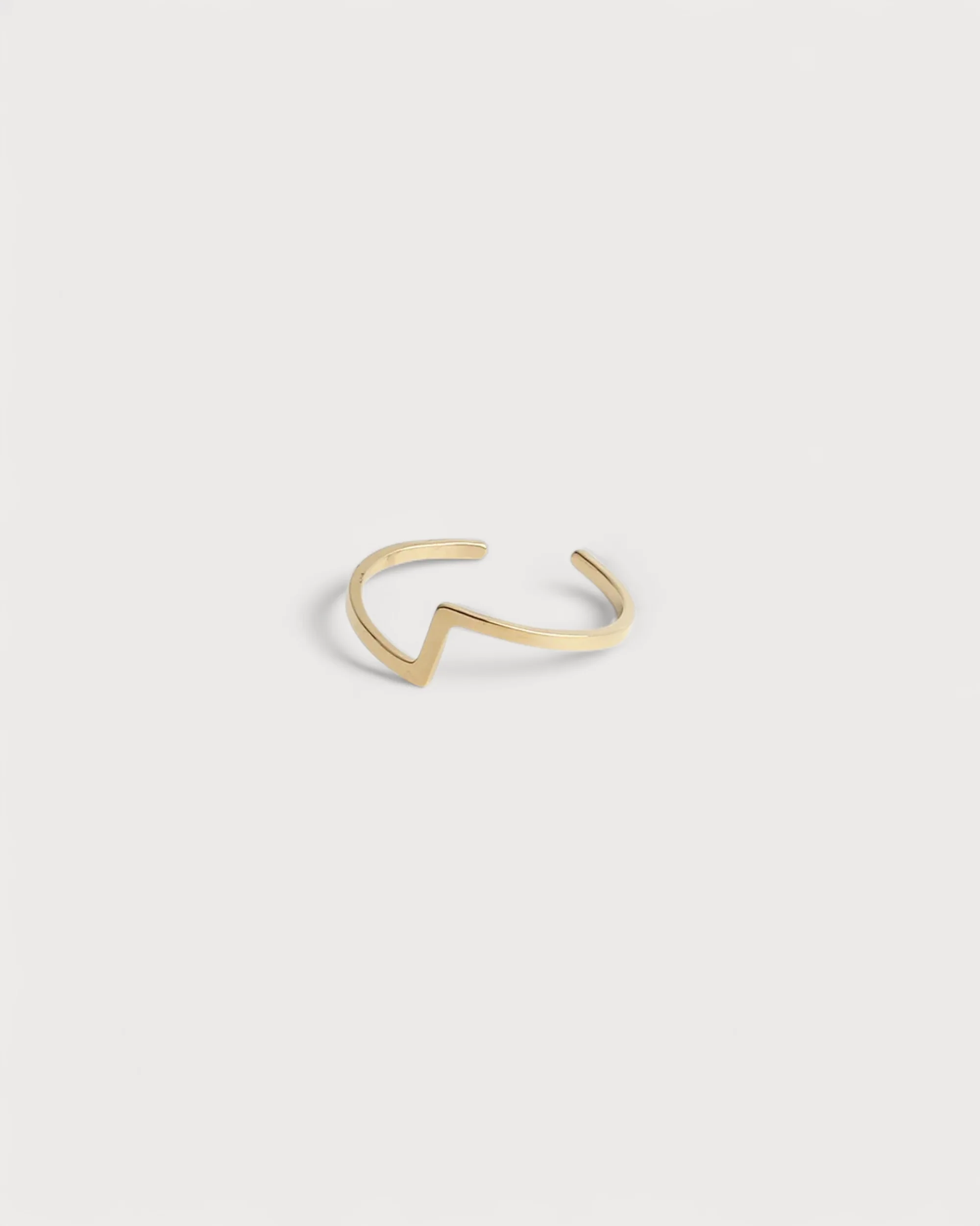 Robin - Ring - Stainless Steel - Adjustable